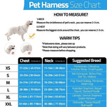 Harnais pour chien avec nom personnalisé