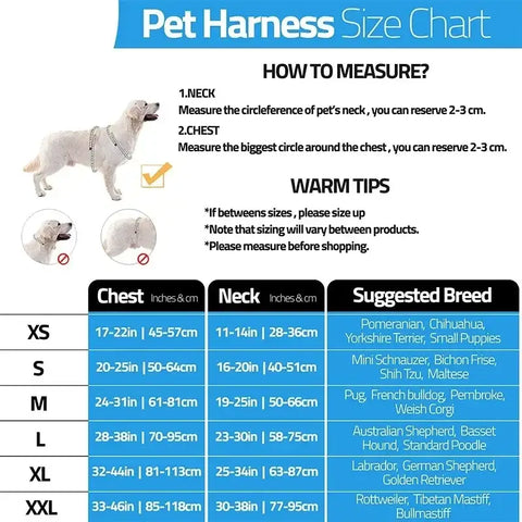Harnais pour chien avec nom personnalisé