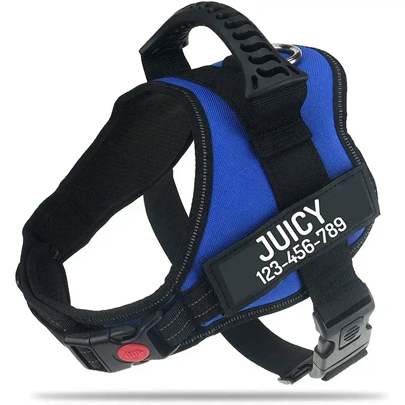 Harnais pour chien avec nom personnalisé - Blue / XXL