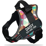 Harnais pour chien avec nom personnalisé - Color grid / XL