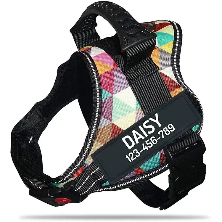 Harnais pour chien avec nom personnalisé - Color grid / XL