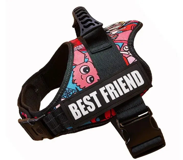 Harnais pour chien avec nom personnalisé