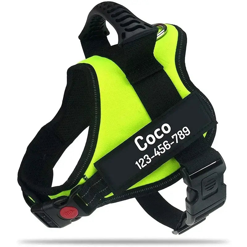 Harnais pour chien avec nom personnalisé - green / XL