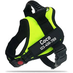 Harnais pour chien avec nom personnalisé - green / XL