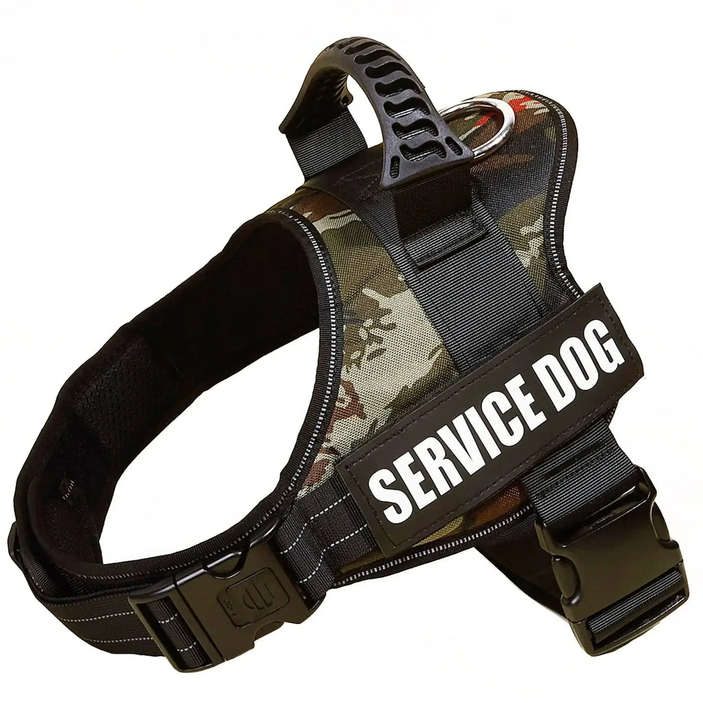 Harnais pour chien avec nom personnalisé - Jungle green / XXL