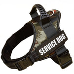 Harnais pour chien avec nom personnalisé - Jungle green / XXL