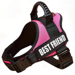 Harnais pour chien avec nom personnalisé - Pink / XS（old）