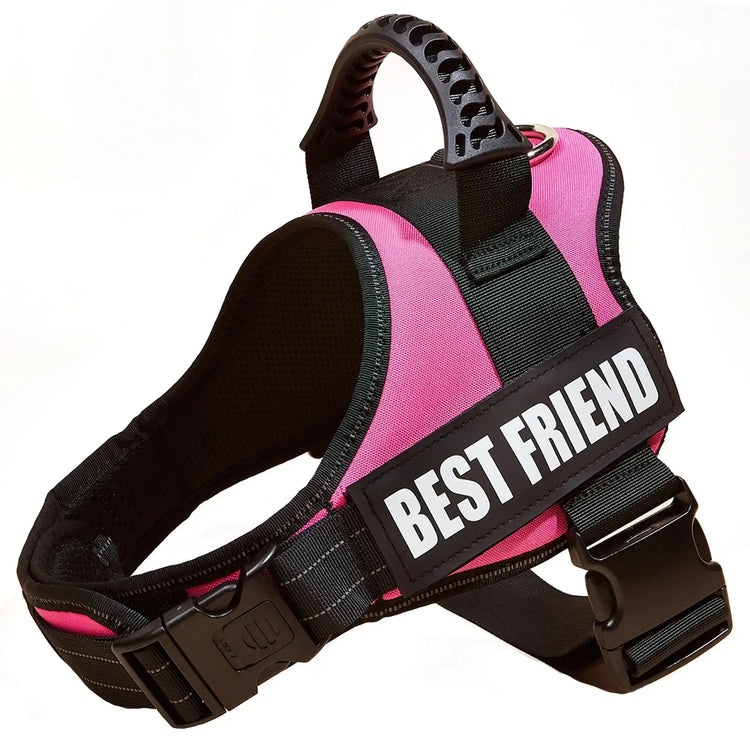 Harnais pour chien avec nom personnalisé - Pink / XS（old）