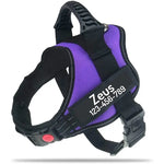 Harnais pour chien avec nom personnalisé - PURPLE / XXL