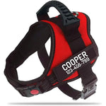 Harnais pour chien avec nom personnalisé - Red / M