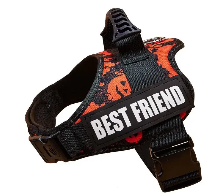 Harnais pour chien avec nom personnalisé