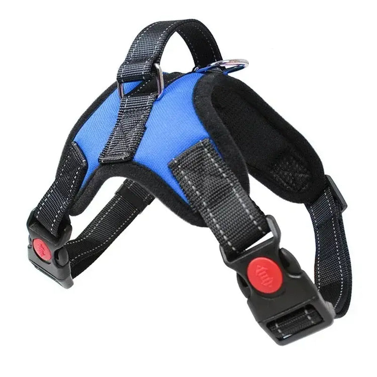 Harnais pour chien de selle - GERMANY / S 5-9kg / GC-AW-blue