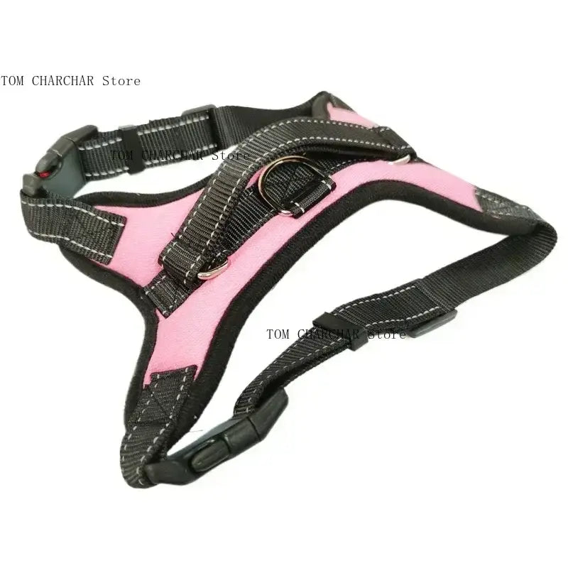 Harnais pour chien de selle