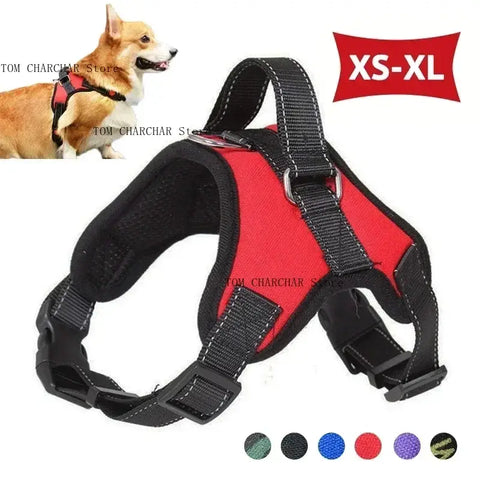 Harnais pour chien de selle