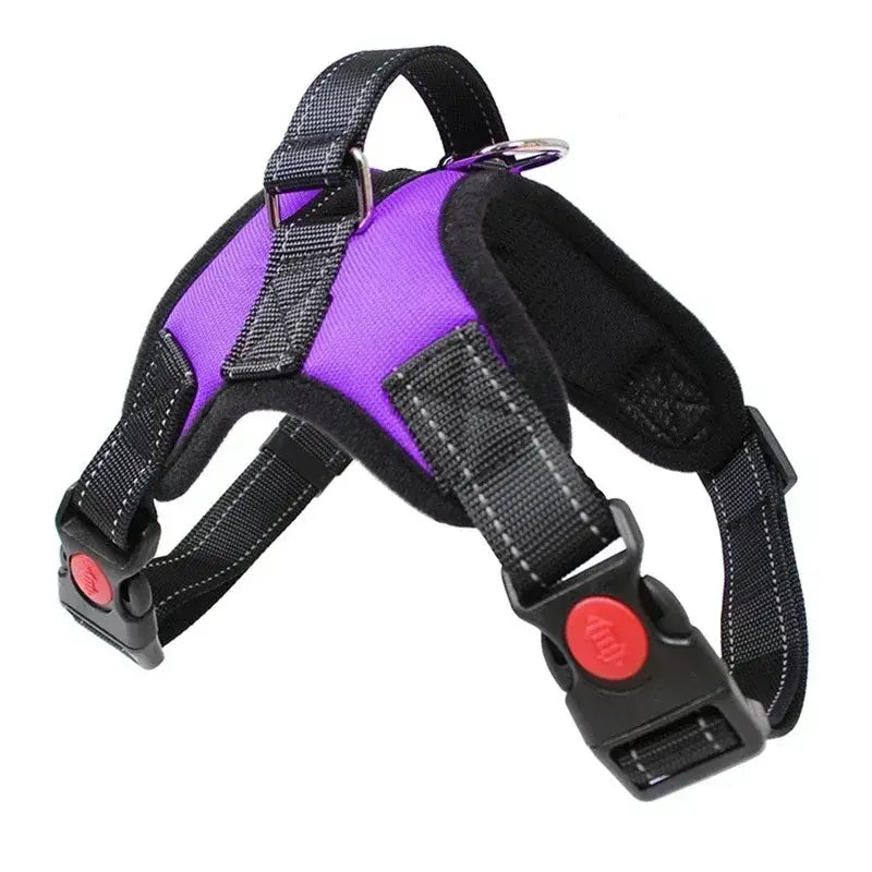 Harnais pour chien de selle - spain / XS 2.5-5kg / GC-AW-Purple