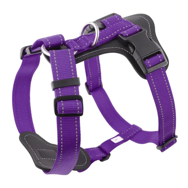 Harnais pour chien en cuir véritable résistant - GERMANY / L / Purple