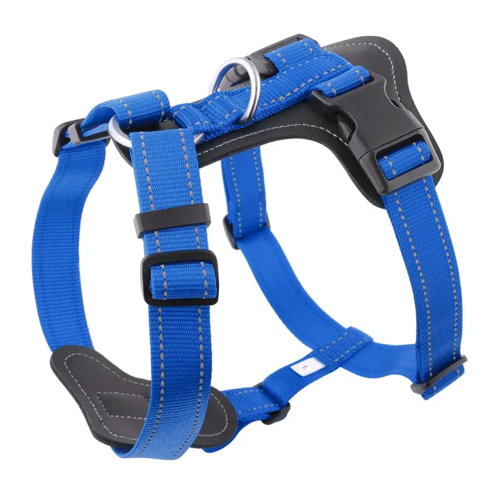 Harnais pour chien en cuir véritable résistant - GERMANY / M / Blue