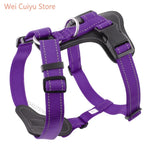 Harnais pour chien en cuir véritable résistant