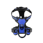 Harnais pour chien en nylon réglable - france / Blue / M