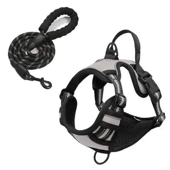 Harnais pour chien en nylon réglable - france / Light Grey / M