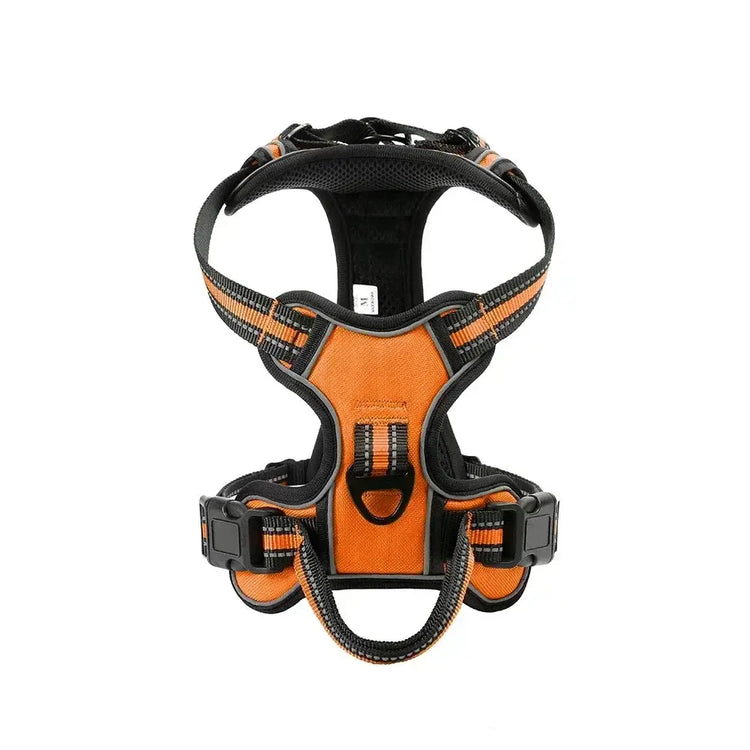 Harnais pour chien en nylon réglable - france / Orange / M