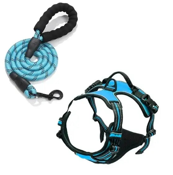 Harnais pour chien en nylon réglable - france / SKY BLUE / M