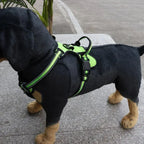 Harnais pour chien en nylon réglable