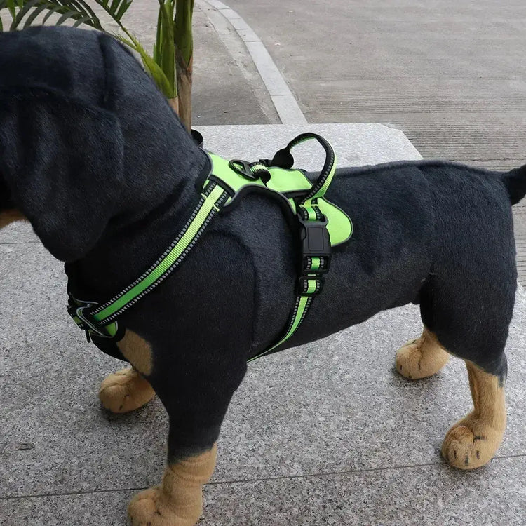 Harnais pour chien en nylon réglable