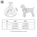 Harnais pour chien en nylon