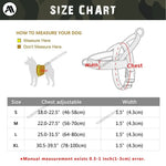 Harnais pour chien en nylon résistant avec harnais pour chien.