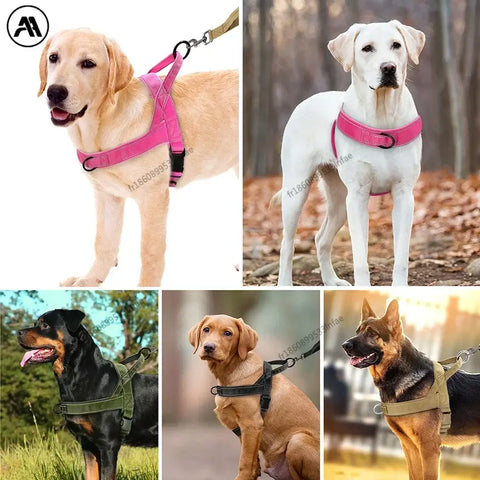 Harnais pour chien en nylon résistant avec harnais pour chien.