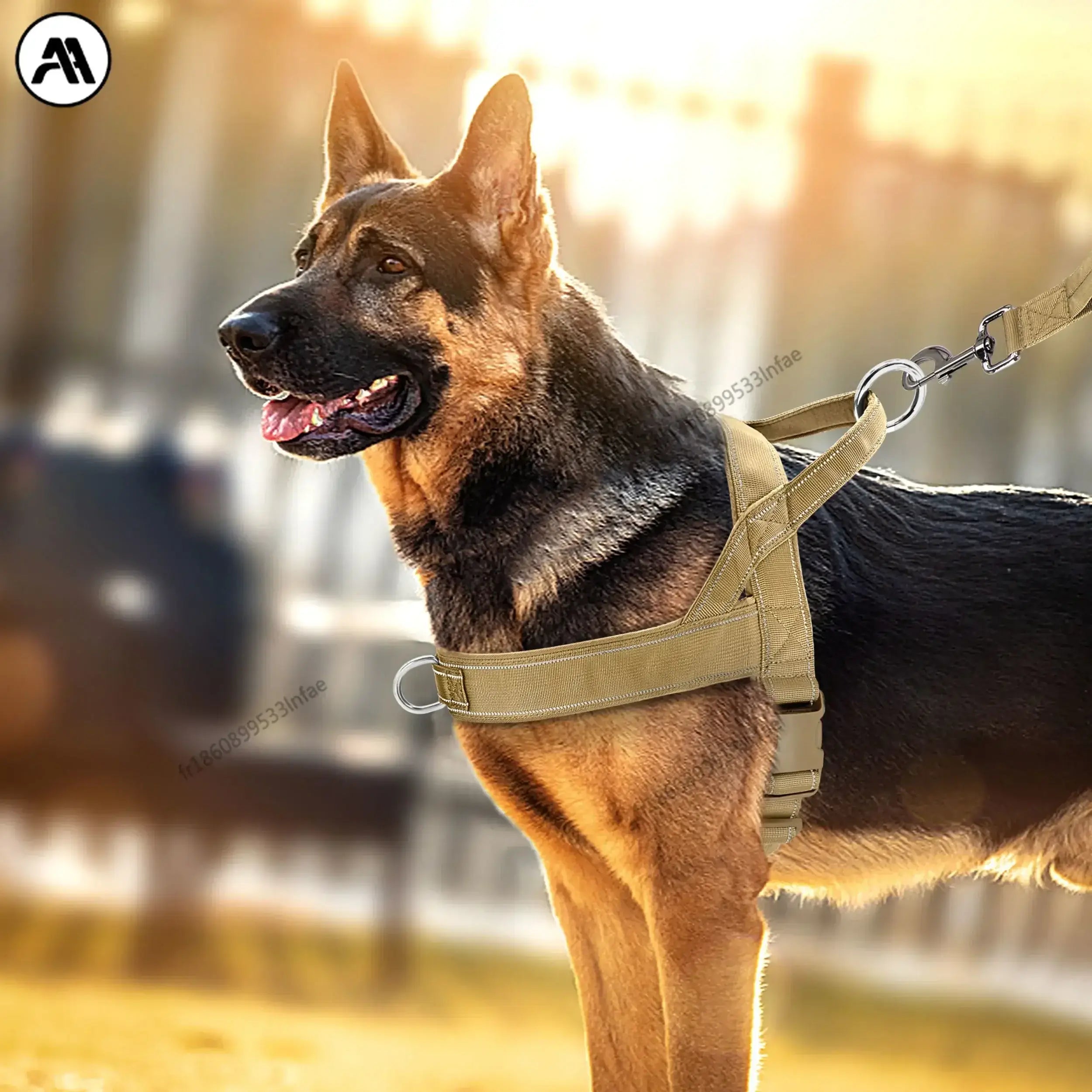 Harnais pour chien en nylon résistant avec harnais pour chien.