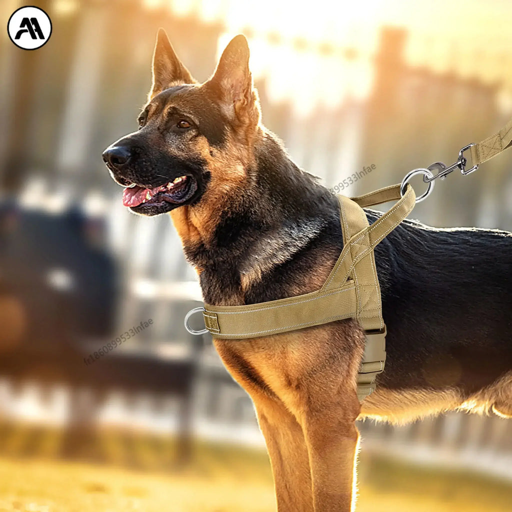 Harnais pour chien en nylon résistant avec harnais pour chien.