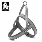 Harnais pour chien en nylon souple avec support pour chien. - gray / XS