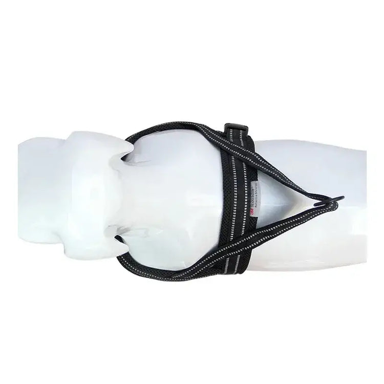 Harnais pour chien en nylon souple avec support pour chien.