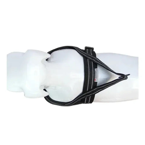 Harnais pour chien en nylon souple avec support pour chien.