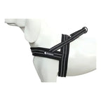 Harnais pour chien en nylon souple avec support pour chien.