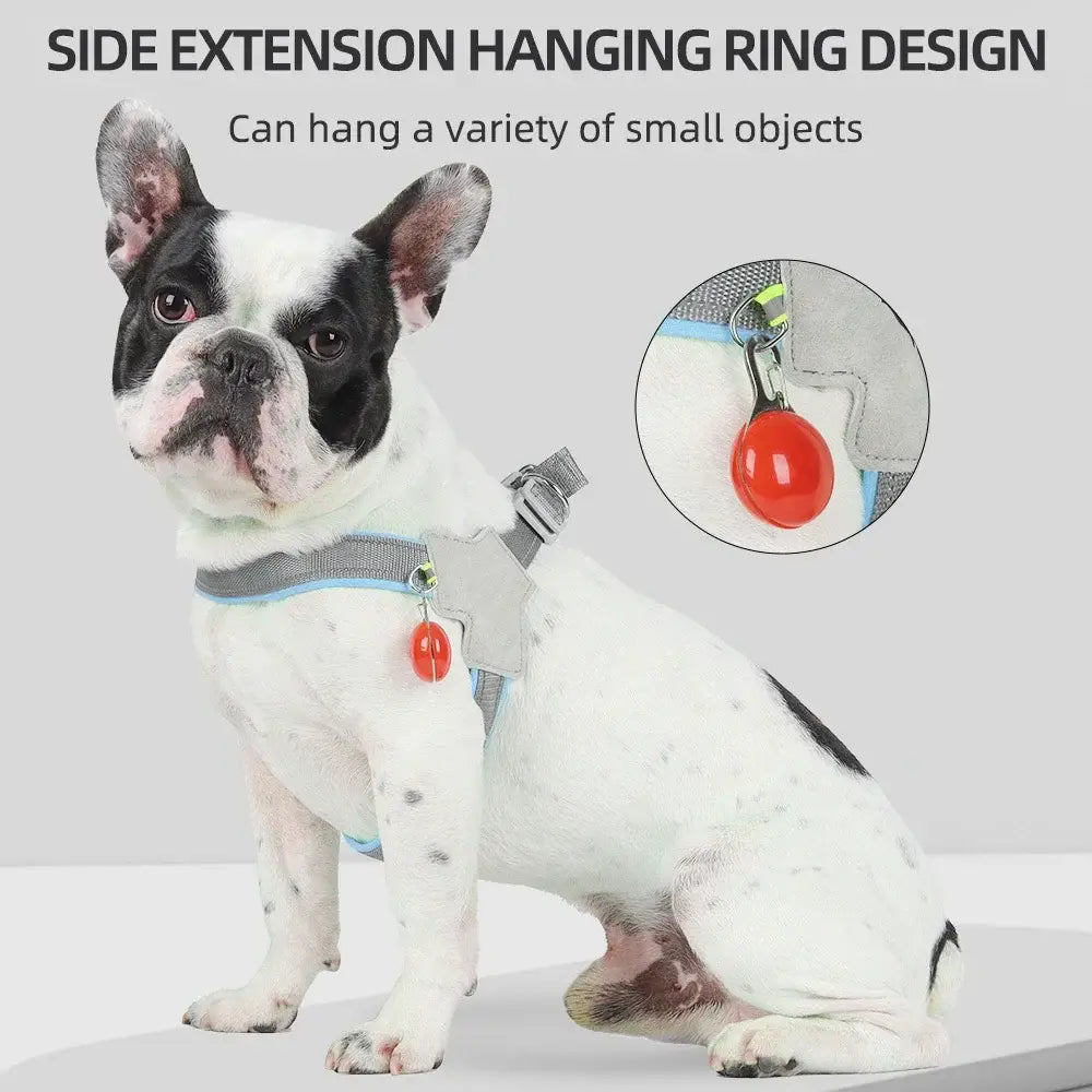 Harnais pour chien réfléchissant et réglable