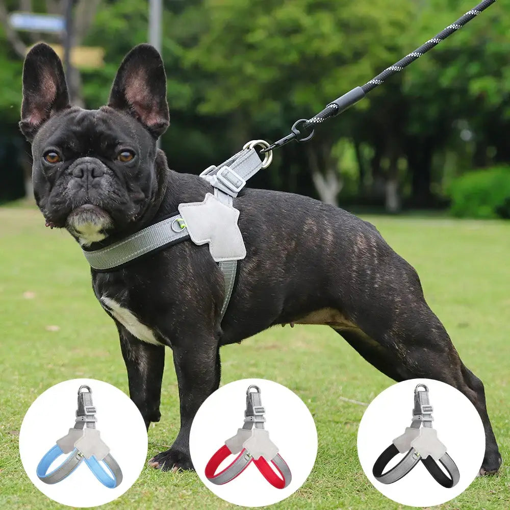 Harnais pour chien réfléchissant et réglable