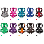 Harnais pour chien rembourré en nylon