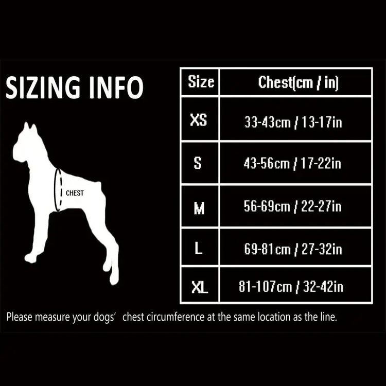 Harnais pour chien rembourré en nylon