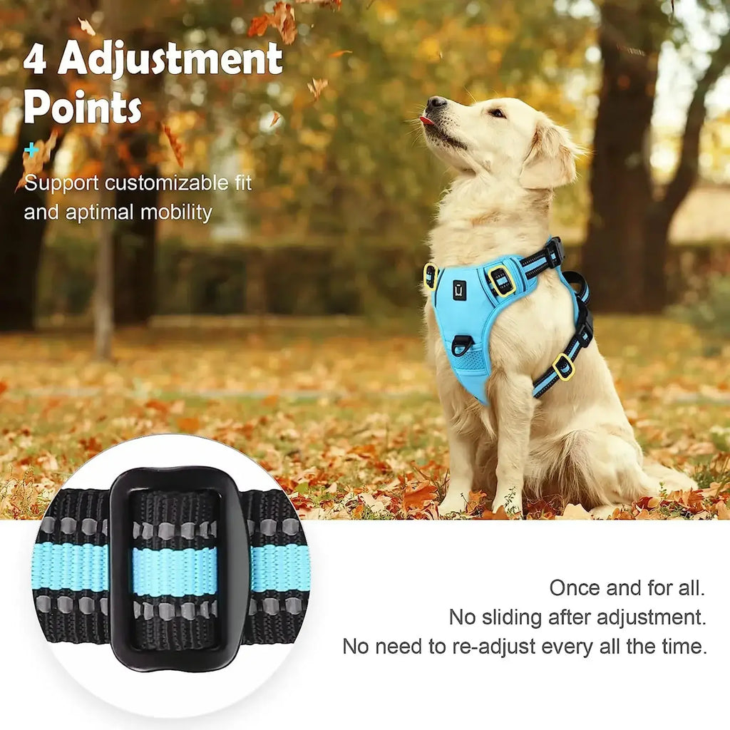 Harnais pour chien rembourré réglable