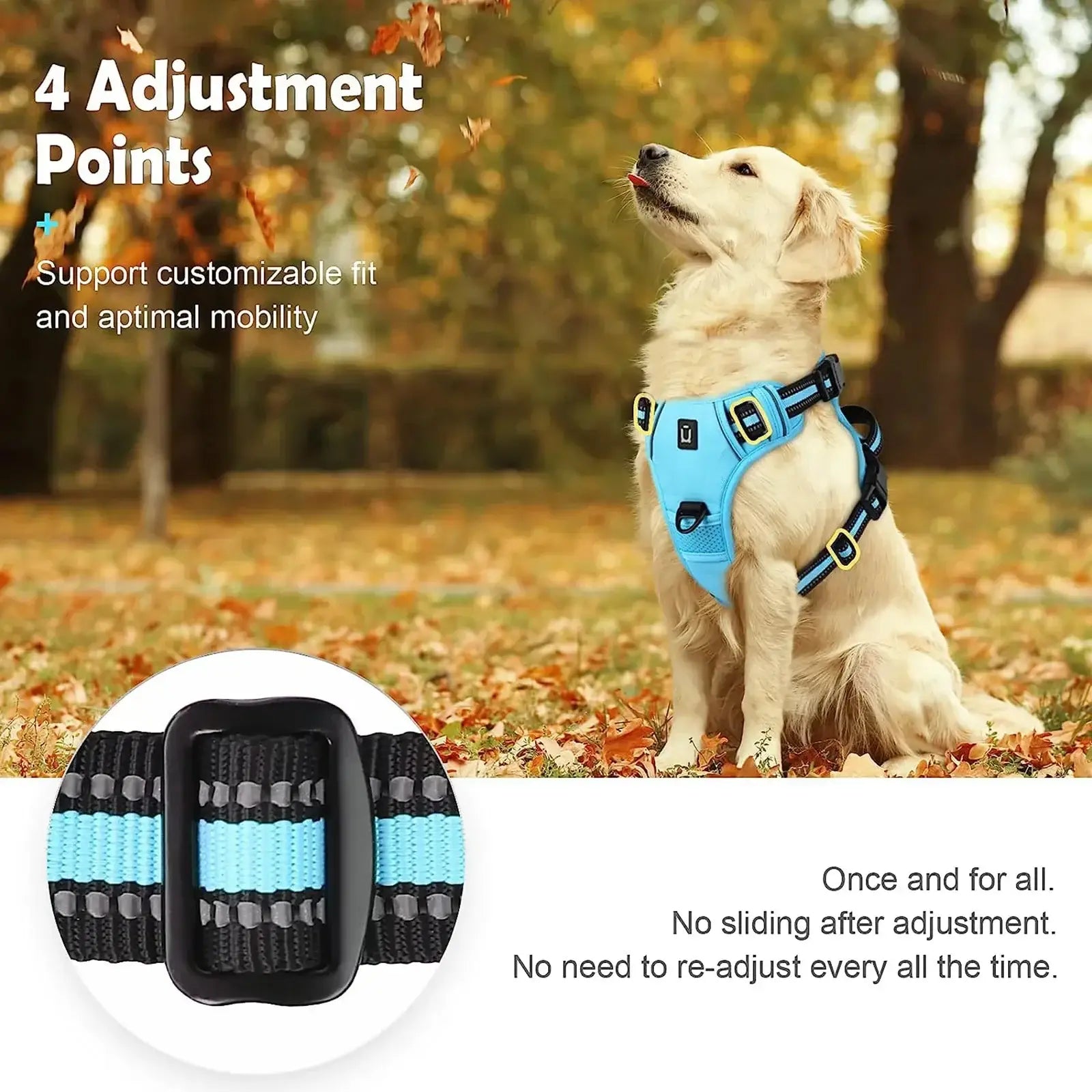 Harnais pour chien rembourré réglable
