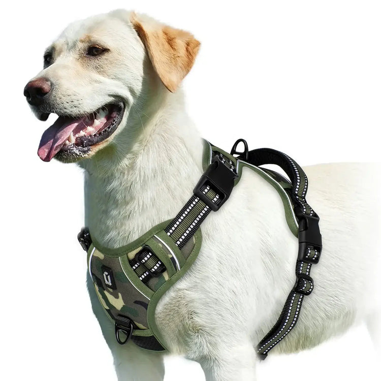 Harnais pour chien rembourré réglable - army green / M