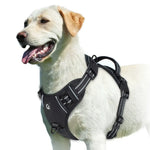 Harnais pour chien rembourré réglable - black / XL