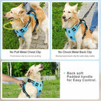 Harnais pour chien rembourré réglable