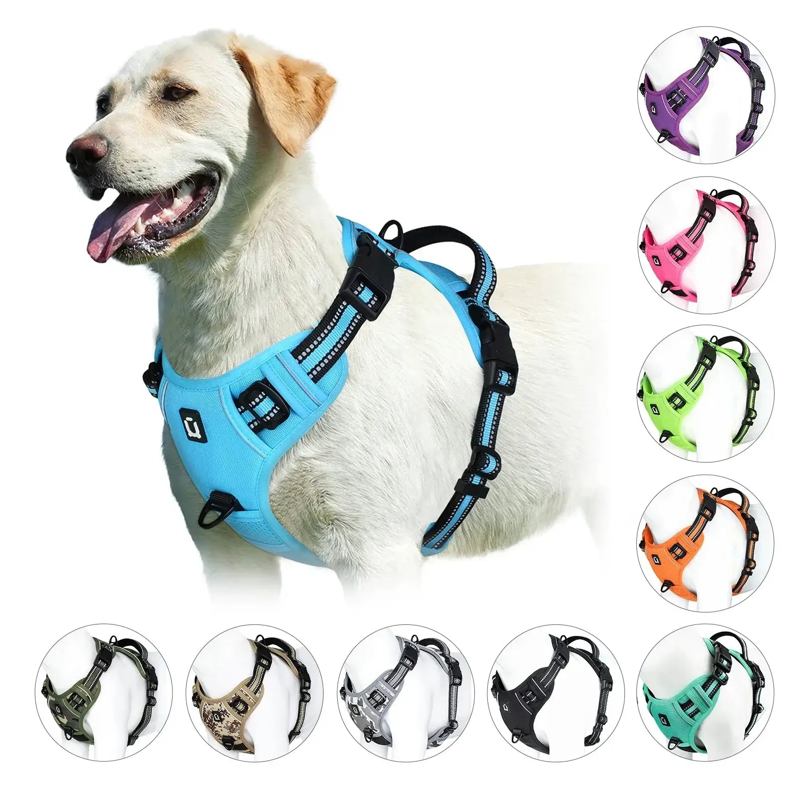 Harnais pour chien rembourré réglable