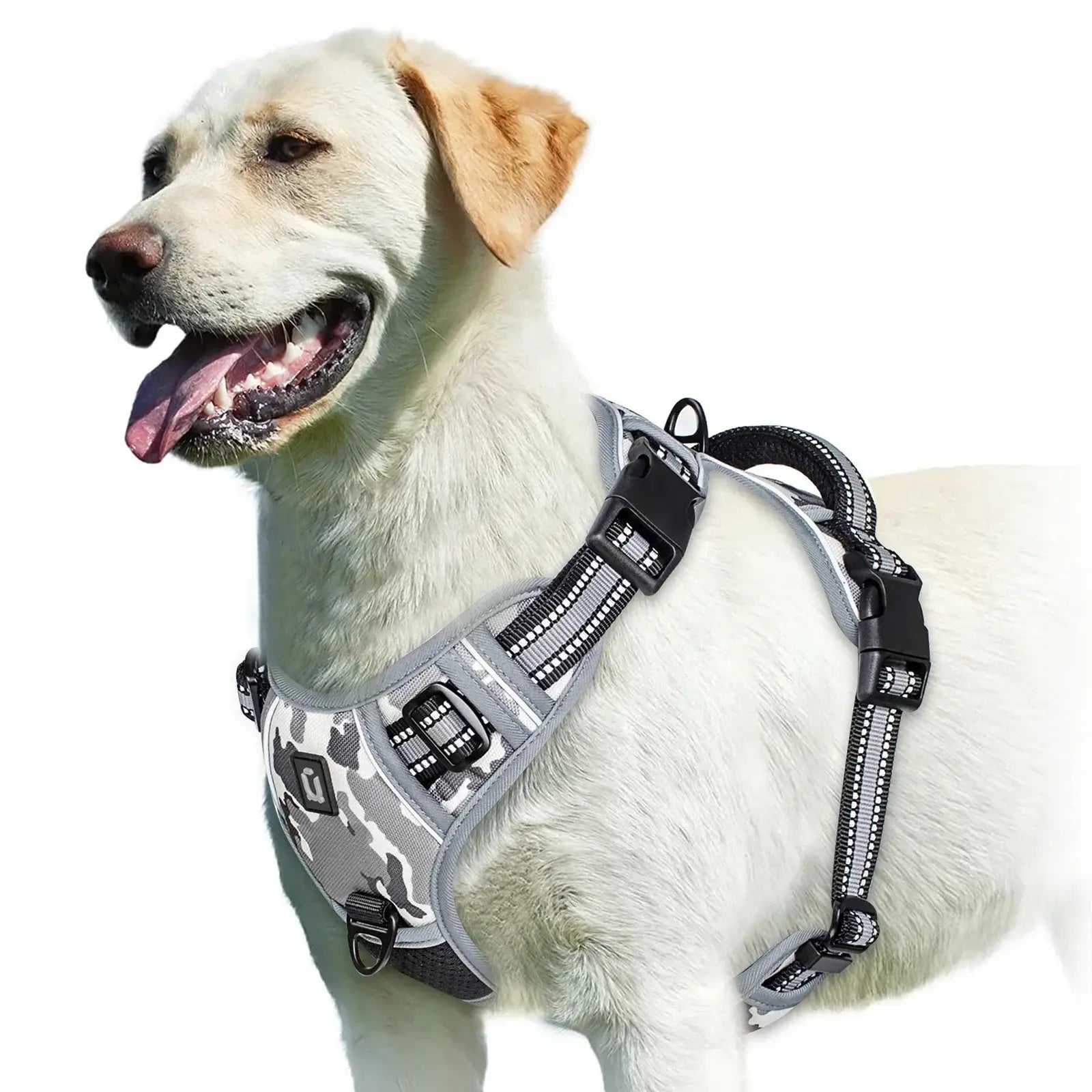 Harnais pour chien rembourré réglable - GRAY / XL