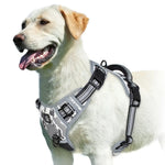 Harnais pour chien rembourré réglable - GRAY / XL