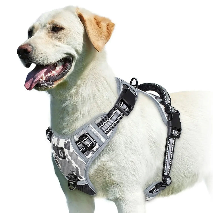 Harnais pour chien rembourré réglable - GRAY / XL